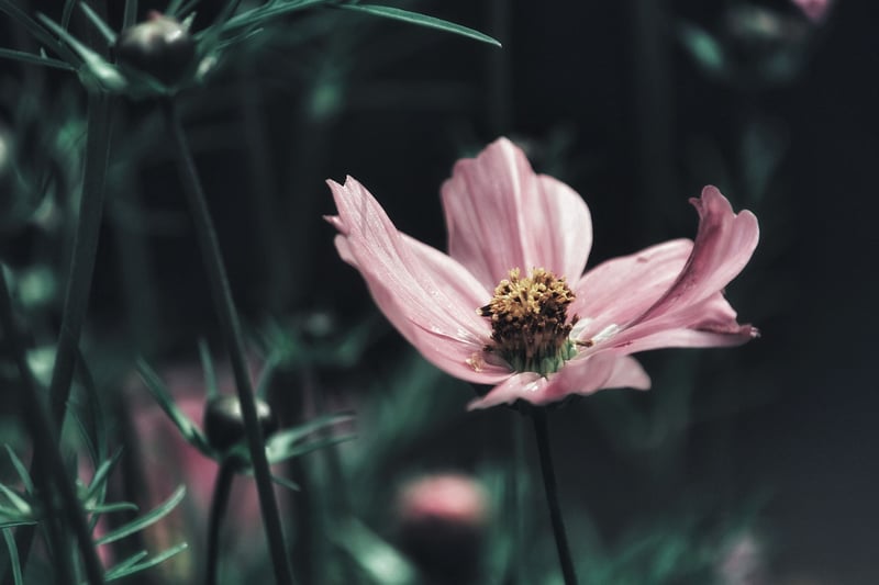 Plant-inspired Jewelry